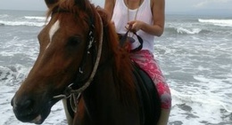 obrázek - Bali Horse Riding (Saba Beach)