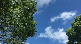 obrázek - dying in the sun