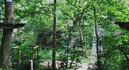 obrázek - Parco Avventura Adrenalina verde