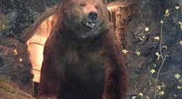 obrázek - Top of The Rock