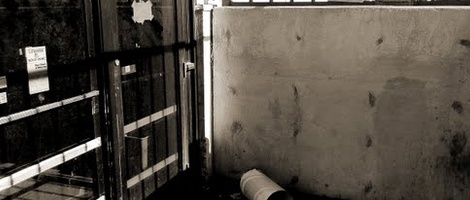 obrázek - Jacksonville