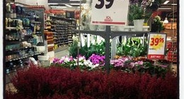 obrázek - ICA Kvantum