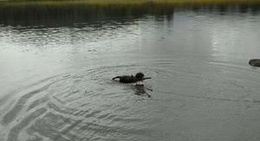obrázek - Tunnel Resovoir, Greer Az