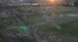 obrázek - ときわスポーツ広場