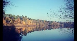 obrázek - Oisterwijkse Bossen En Vennen