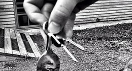 obrázek - Davis, WV