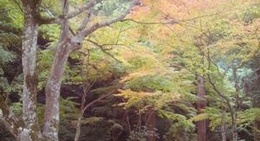 obrázek - 紅葉谷公園