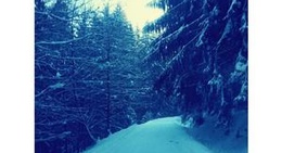 obrázek - Slanický Dvor