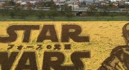 obrázek - 第2田んぼアート