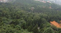 obrázek - 富乐山