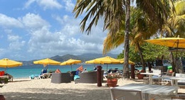 obrázek - Savvy Cabana