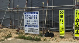 obrázek - 仲原鍾乳洞