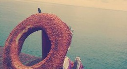 obrázek - Ünye Sahil