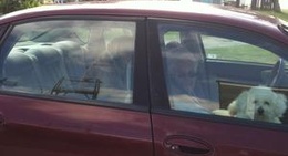 obrázek - Hancock Landing