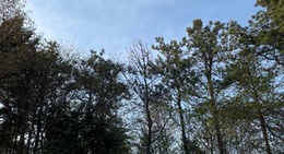 obrázek - 구몽산