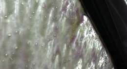 obrázek - Stripes Store #2223