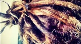 obrázek - Lake Weir