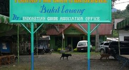 obrázek - Bukit lawang,Bohorok