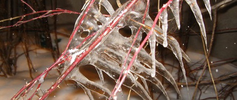 obrázek - Sarıkamış