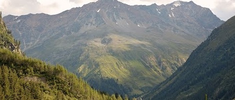 obrázek - Plangeross