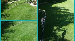 obrázek - Top Notch Lawn & Gardening Services