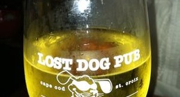 obrázek - Lost Dog Pub