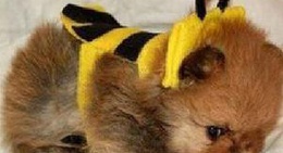 obrázek - 福清市广电局