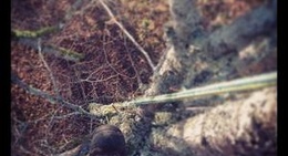 obrázek - Pädaste Park