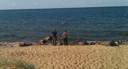 obrázek - Leetse Rand