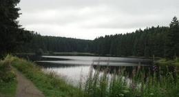 obrázek - Bärenbrucher Teich