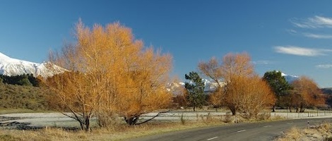 obrázek - Windwhistle