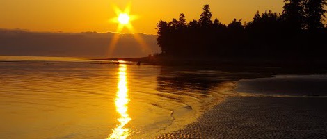 obrázek - Oyster Bay