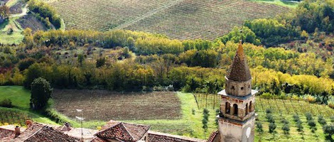 obrázek - Motovun