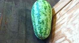 obrázek - S & S Family Restaurant