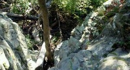 obrázek - Giant City State Park