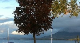 obrázek - Library Park