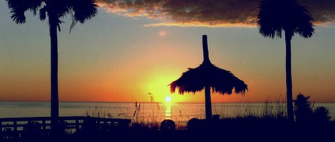 obrázek - Mexico Beach