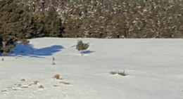 obrázek - Allahuekber Dağları - Sarıkamış