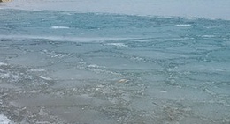 obrázek - Lexington Harbor