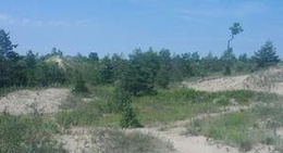 obrázek - Sandbanks Provincial Park: Dunes