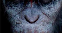 obrázek - Bridgton Twin Drive-In Theatre