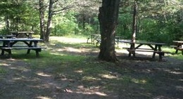 obrázek - Foley Mountain Conservation Area