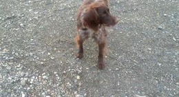 obrázek - Place des Paillous