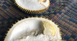 obrázek - Penatapan Berastagi