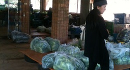 obrázek - โครงการส่งเสริมกสิกรรมไร้สารพิษอันเนื่องมาจากพระราชดำริ