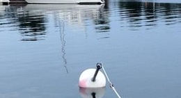 obrázek - Gräddö Marina