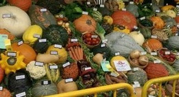 obrázek - Norfolk County Fair & Horse Show