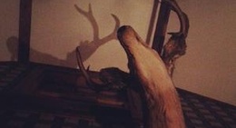 obrázek - Knotbumper