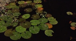 obrázek - Monumento a las banderas