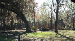 obrázek - Tom varn park